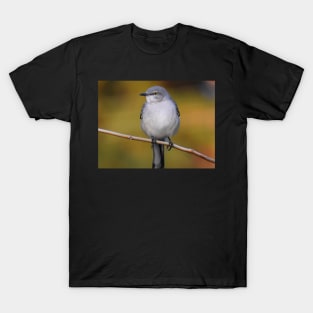 Mockingbird perched 2 T-Shirt